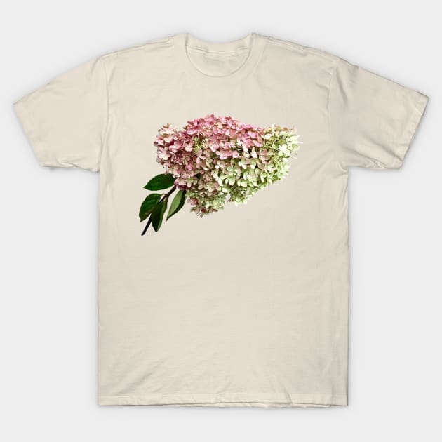 Hydrangeas - Sprig of Hydrangea T-Shirt by SusanSavad